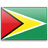 Uluslararasi gayrimenkulde çalışan şirketler ve uzmanlar Guyana