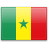 Uluslararasi gayrimenkulde çalışan şirketler ve uzmanlar Senegal