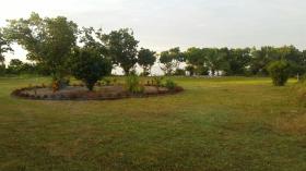 Analanjirofo satılık sahil arazi