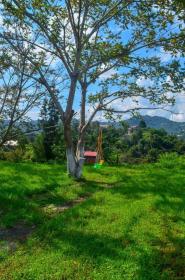 Satılık Özel Konuk Evi - Batum'da Villa