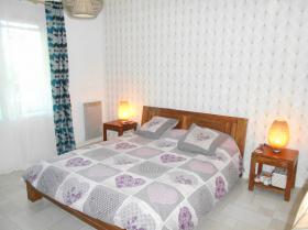 Köpek ve kediler için konaklama - 26.600 m2 çiftlik