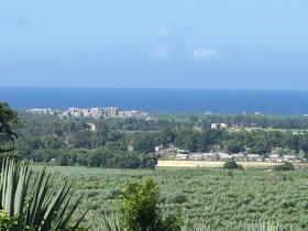 Satılık daire arsa Vipingo Ridge yanında
