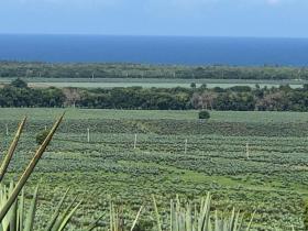 Satılık daire arsa Vipingo Ridge yanında