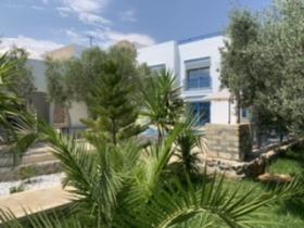 Zeytin ağaçlarının ortasında deniz manzaralı villa