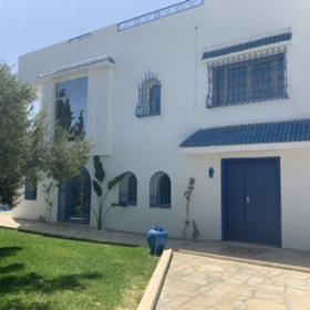 Zeytin ağaçlarının ortasında deniz manzaralı villa