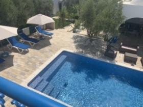 Zeytin ağaçlarının ortasında deniz manzaralı villa