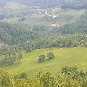 Satılık çiftlik 16 ha arazi evler ve hayvanlar için kulübe ile