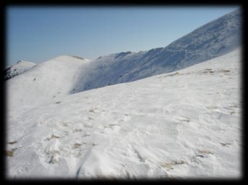 Kayak pisti, ilgili izinli arsa