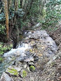 Rio Ribeira do Neto nehri kıyısındaki cennet çiftliği