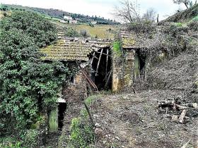 Rio Ribeira do Neto nehri kıyısındaki cennet çiftliği