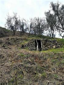 Rio Ribeira do Neto nehri kıyısındaki cennet çiftliği