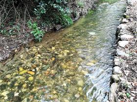 Rio Ribeira do Neto nehri kıyısındaki cennet çiftliği