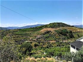 Rio Ribeira do Neto nehri kıyısındaki cennet çiftliği