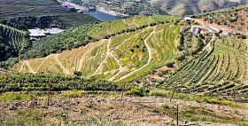 Alto Douro Vinhateiro, Parada do Bispo'da satılık Eşsiz Çiftlik