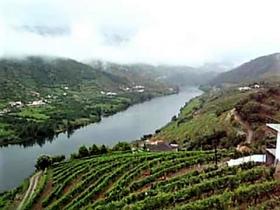 Alto Douro Vinhateiro, Parada do Bispo'da satılık Eşsiz Çiftlik
