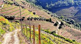 Alto Douro Vinhateiro, Parada do Bispo'da satılık Eşsiz Çiftlik