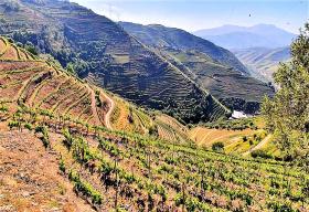 Alto Douro Vinhateiro, Parada do Bispo'da satılık Eşsiz Çiftlik