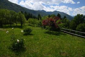 Satılık özel apartmanlar - Bohinj'deki evler