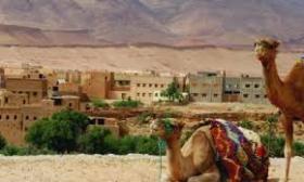 Yatırımcılar için 800 hektarlık ideal arazi önerisi