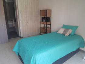 Viña Del Mar'da kiralık kelebek tarzı daire