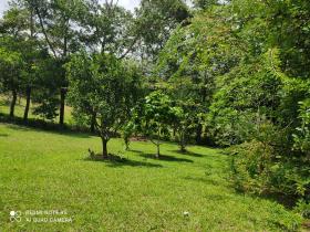 16 ha Arazi Penonomé şehir merkezinden 15 dakika