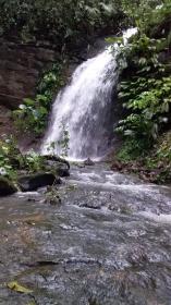 Dağlardan çıkan şelalelerin bulunduğu 71 hektarlık çiftlik