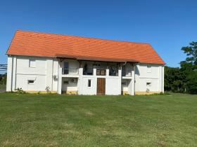 Balaton Gölü'nde at çiftliği