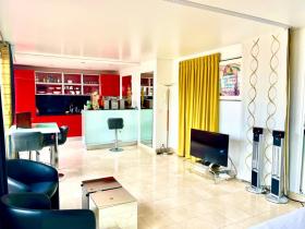 Teraslı ve büyülü Paris manzaralı daire