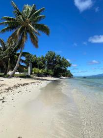 Nadir ve muhteşem sahil mülkü Moorea
