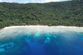 Yaklaşık 4 hektarlık birinci sınıf tropik ada sahili