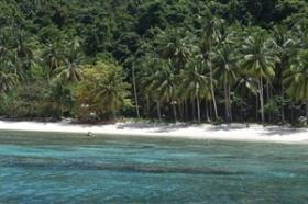 Yaklaşık 4 hektarlık birinci sınıf tropik ada sahili