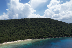 Yaklaşık 4 hektarlık birinci sınıf tropik ada sahili