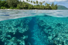 Dünya Mercan Üçgeni'nin kalbinde tek özel villa