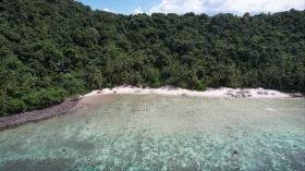 Palmiyelerle kaplı özel plaj önü, imarlı geliştirme - yüksek manzaralar ve üstün mercanlar