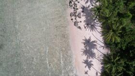 Palmiyelerle kaplı özel plaj önü, imarlı geliştirme - yüksek manzaralar ve üstün mercanlar