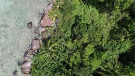 Palmiyelerle kaplı özel plaj önü, imarlı geliştirme - yüksek manzaralar ve üstün mercanlar