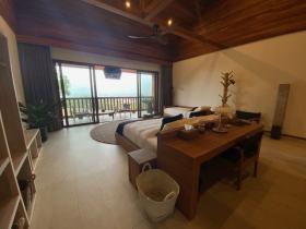 Olağanüstü bir ortamda deniz manzaralı villa