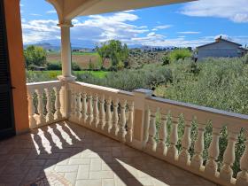 Olive Garden - Villa in Abruzzo with panoramic view
