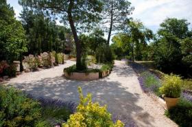 Güzel Provence evi, 2 ha 300 - 7 yatak odası - 15 x 7m yüzme havuzu