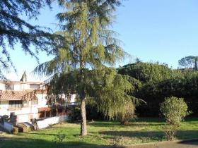 Roma'da 600 m2 havuzlu 3 katlı, 60 m2 parklı, 2000 m2 parklı, 4 daireden oluşan villa 