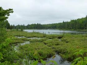 Quebec'te geyik yetiştiriciliği ve avcılığı için geliştirilmiş 5 ormanlık alandan oluşan arazi