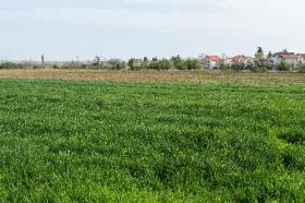 Petrovaradin satılık arsa - Novi Sad, Sırbistan