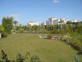 Kahire'nin kalbinde lüks villa