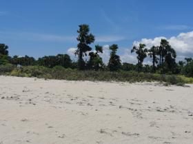 Sumba Est'te sahile sıfır arazi