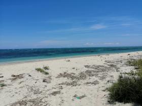 Sumba Est'te sahile sıfır arazi