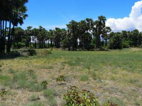 Sumba Est'te sahile sıfır arazi