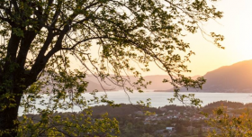 Kotor Körfezi'nin muhteşem manzarasına sahip Satılık Arsa