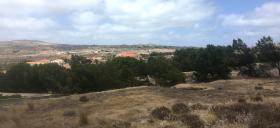 Porto Santo adasinda satılık arsa 890 m2
