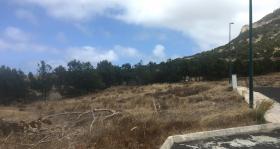 Porto Santo adasinda satılık arsa 890 m2