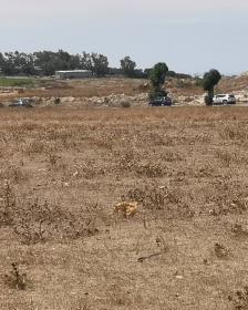 Bir Jdid'de bölge Doukkala Satılık Arsa